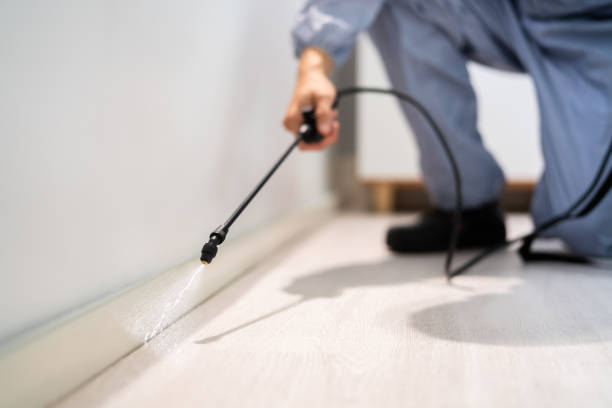 Licensed Cockroach Control service in Valmeyer, IL - Nex Pest Control