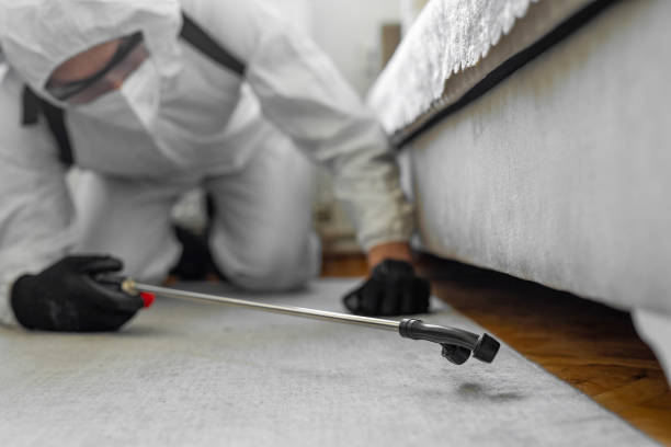 Professional Cockroach Control technician working in Valmeyer, IL