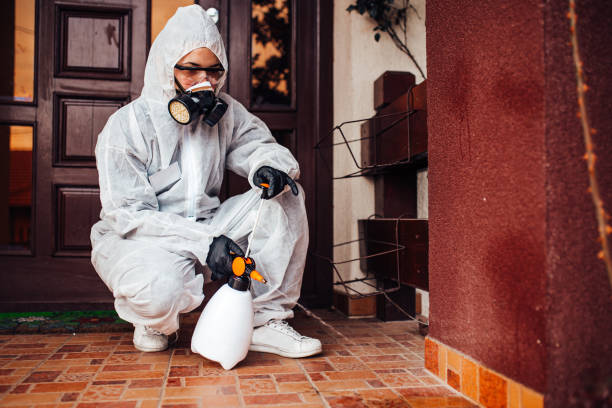 Reliable Cockroach Control contractor in Valmeyer, IL by Nex Pest Control